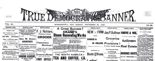 True Democratic Banner 11-24-1887