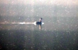 Distant Red-necked Grebe, Boonton Reservoir, Apr. 13, 2013 (iPhone photo by Simon Lane)