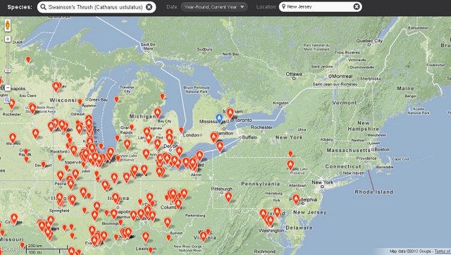 Swainson's Thrush reports on eBird as of May 3, 2013