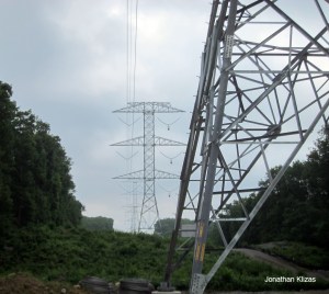 Wildcat Ridge WMA, Rockaway Twp., NJ, June 29, 2013
