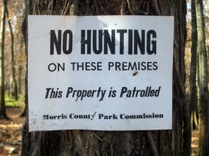 No Hunting, Long Hill, NJ, Nov. 10, 2013 (photo by J. Klizas).