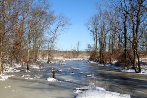 Great Brook, Great Swamp NWR, NJ, Jan. 3, 2014 (photo by Jonathan Klizas).