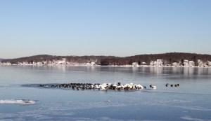 Lake Hopatcong, NJ, Jan. 4, 2014 (photo by J. Klizas)
