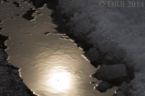 Winter Sun Reflected in Tire Track  (Troy Meadows nature photos by Dave Blinder using his Tamron lenses).