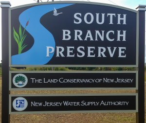 South Branch Preserve, Mt. Olive Twp., NJ (photo by Jonathan Klizas)