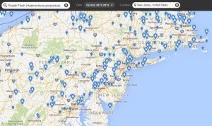 Purple Finch, Oct. 2013 (eBird data)