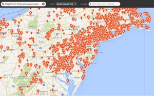 Purple Finch, Oct. 2014 (eBird data)