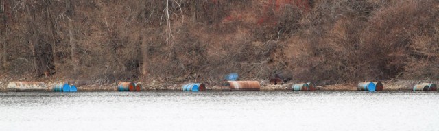 East shore of Kenvil Lake, NJ, Dec. 13, 2014 (photo by Jonathan Klizas)