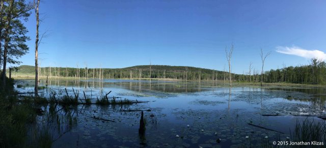 Deerhaven Lake, NJ, July 16, 2015 (iPhone pano by Jonathan Klizas)