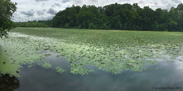 Speedwell Lake, Morristown, NJ, July 15, 2015 (iPhone pano by Jonathan Klizas)
