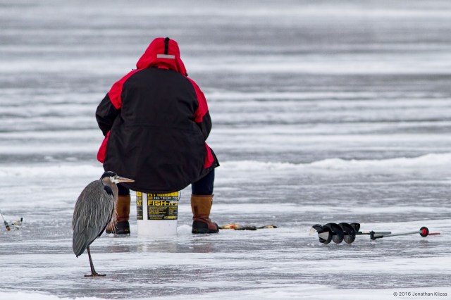 Ice Fishermen at Lake Hopatcong, NJ, Jan. 31, 2016 (photo by Jonathan Klizas)