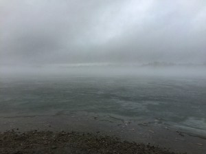 Lake Parsippany, NJ, Jan. 10, 2016 (photo by Jonathan Klizas)