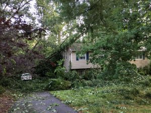 Morris Twp. NJ, the day after the storm of July 14, 2016 (iPhone photo by Jonathan Klizas)