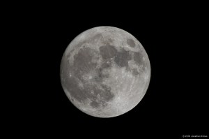 Supermoon, Morris Twp., NJ, Nov. 13, 2016 (photo by Jonathan Klizas)