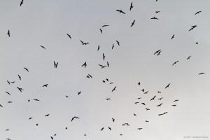 Lake Hopatcong, NJ, Jan. 29, 2017 (photo by Jonathan Klizas)
