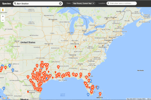 Barn Swallows reported in 2017 as of March 5, 2017 (eBird species map)