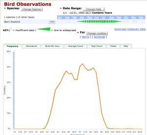 Barn Swallow in Morris and Somerset Counties